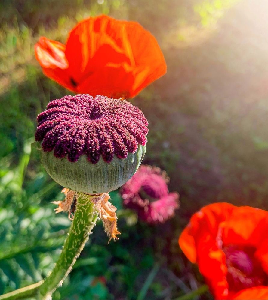 Photograph by Евгения Д