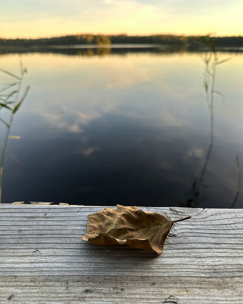 Photograph by Elena Ananieva