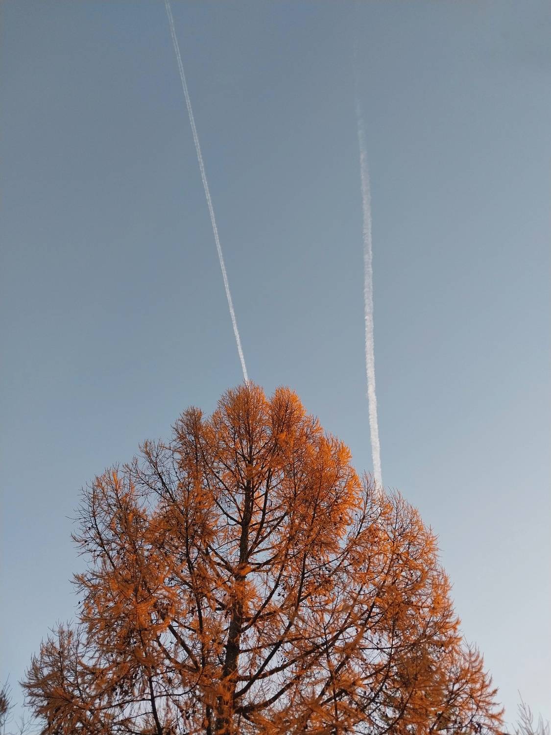 Photo #11950395