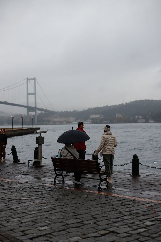 Фотография автора Татьяна Васильева