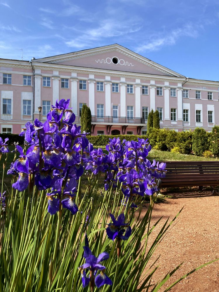 Усадьба Толстых. Новые Ельцы.