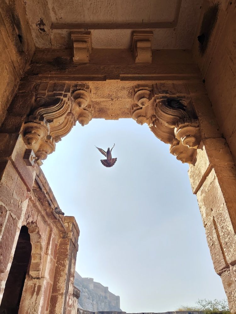 Photograph by Diganto Ghosh