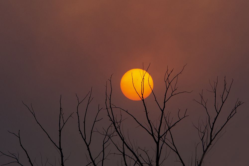 Photograph by Николай Семенов