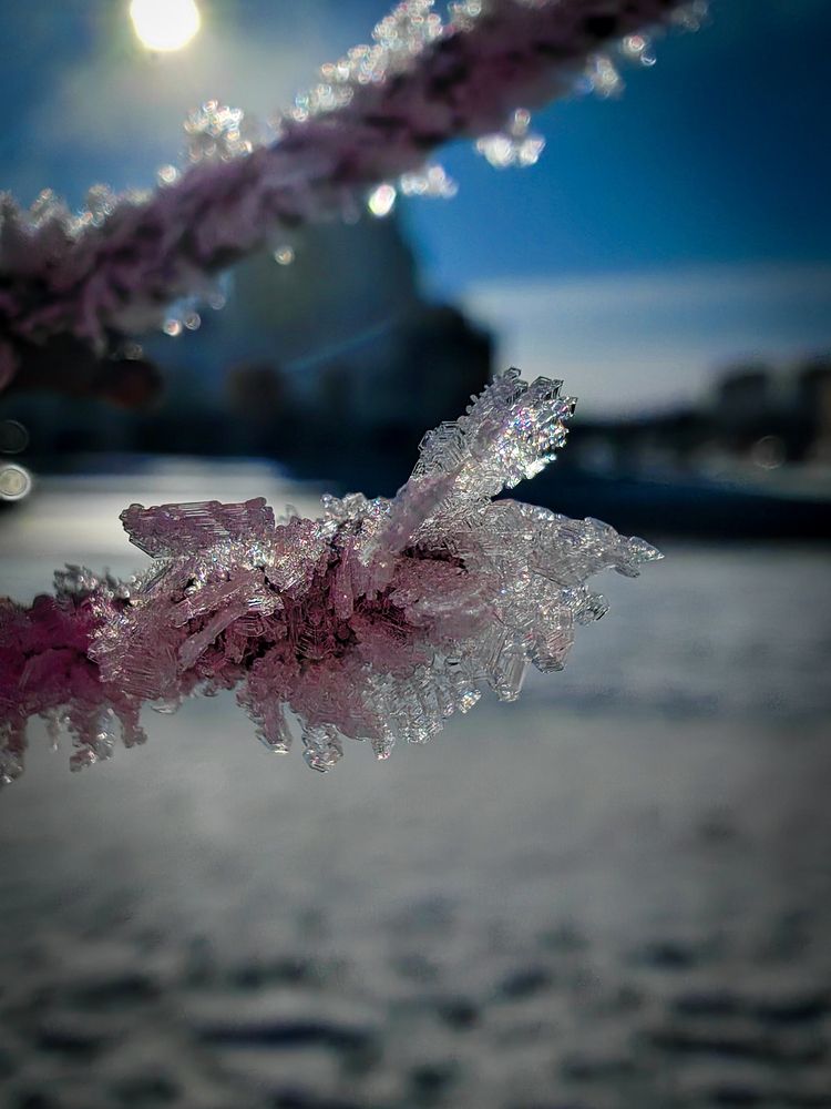 Photograph by Дарья Кондрашонок