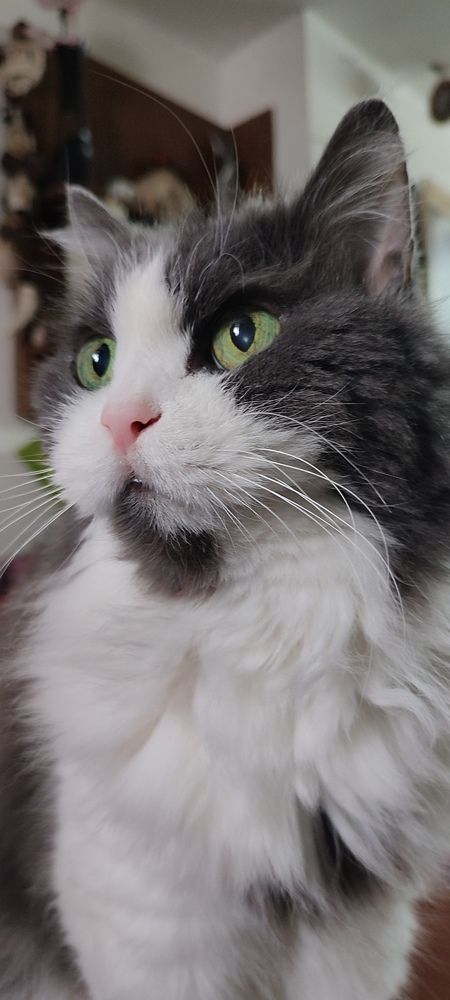 Фотография автора Nataliya Pylayeva