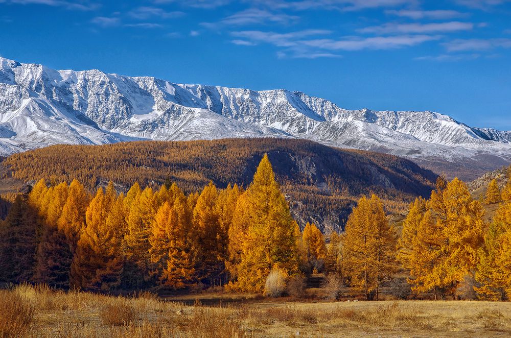 Photograph by Чичкин Валерий