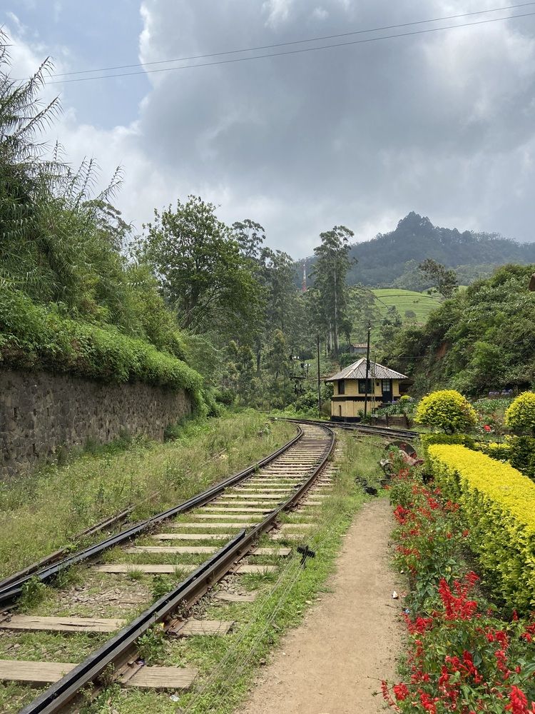 Фотография автора Anastasia