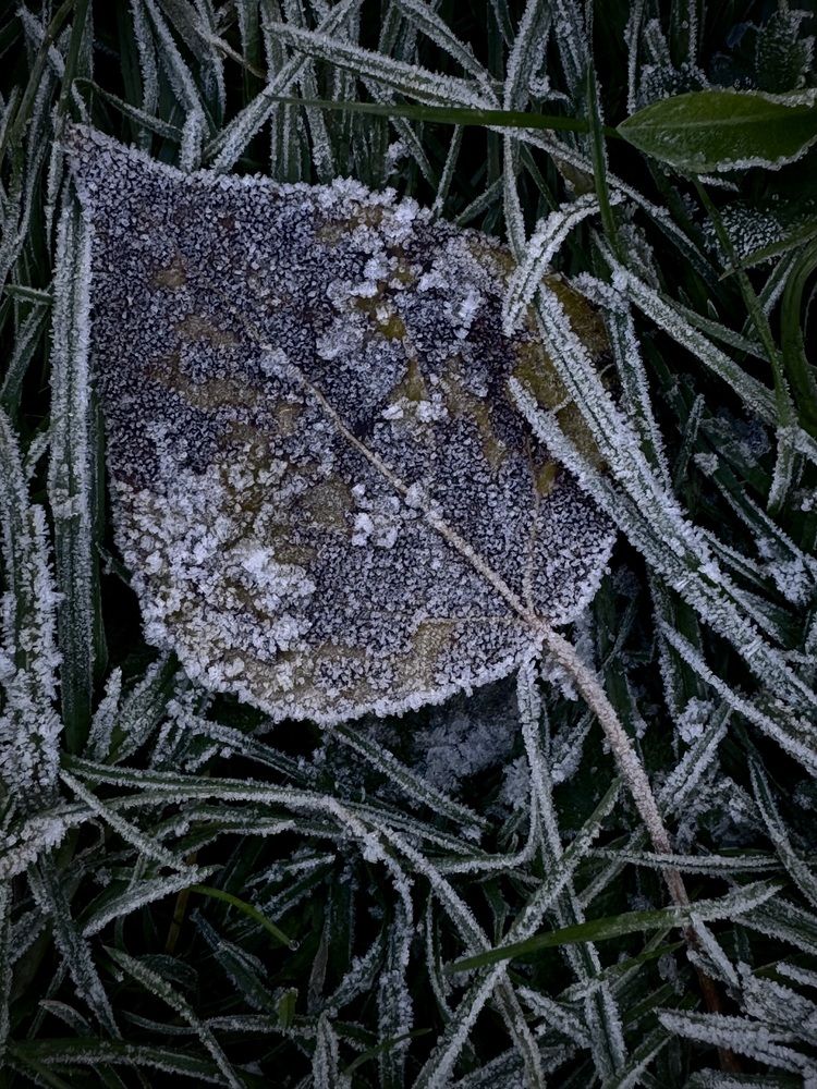 Photograph by Арина Бурда