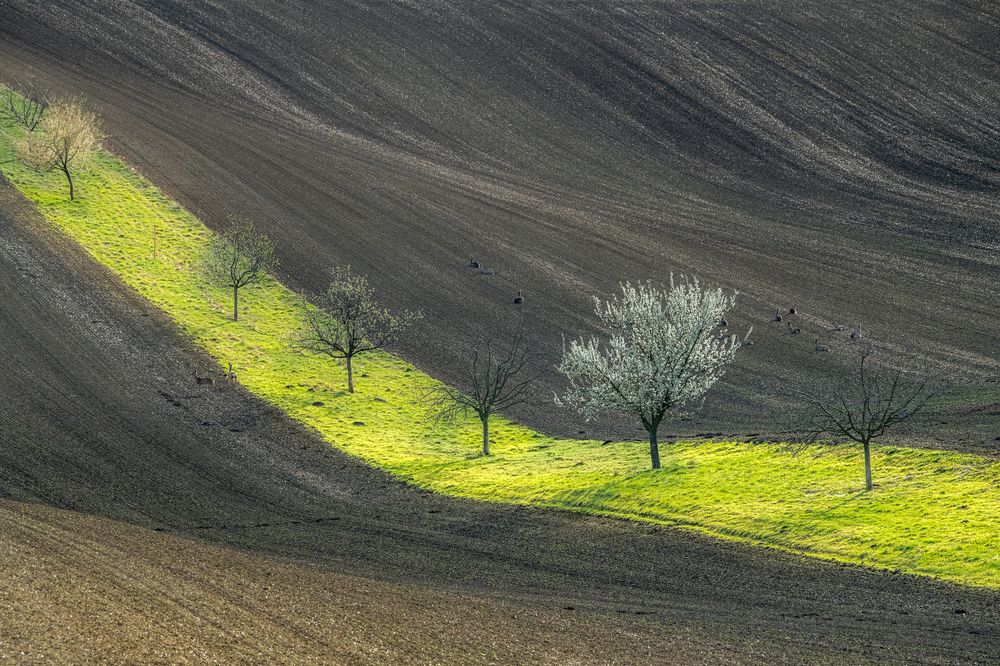 Photograph by ПАВЕЛ