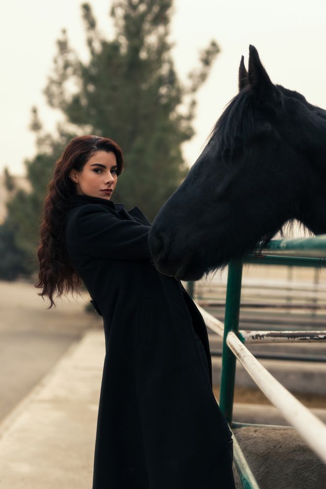 Photograph by Alireza Esmaeeli