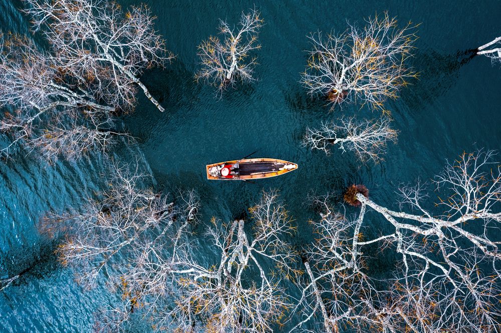 Photograph by Sunshine Le