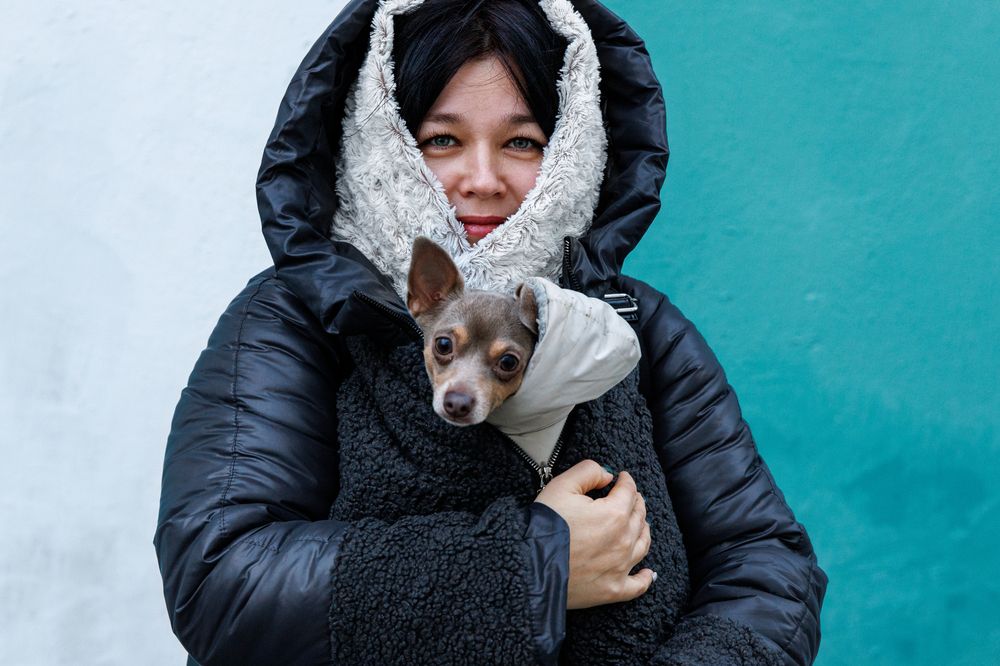 Photograph by ataris