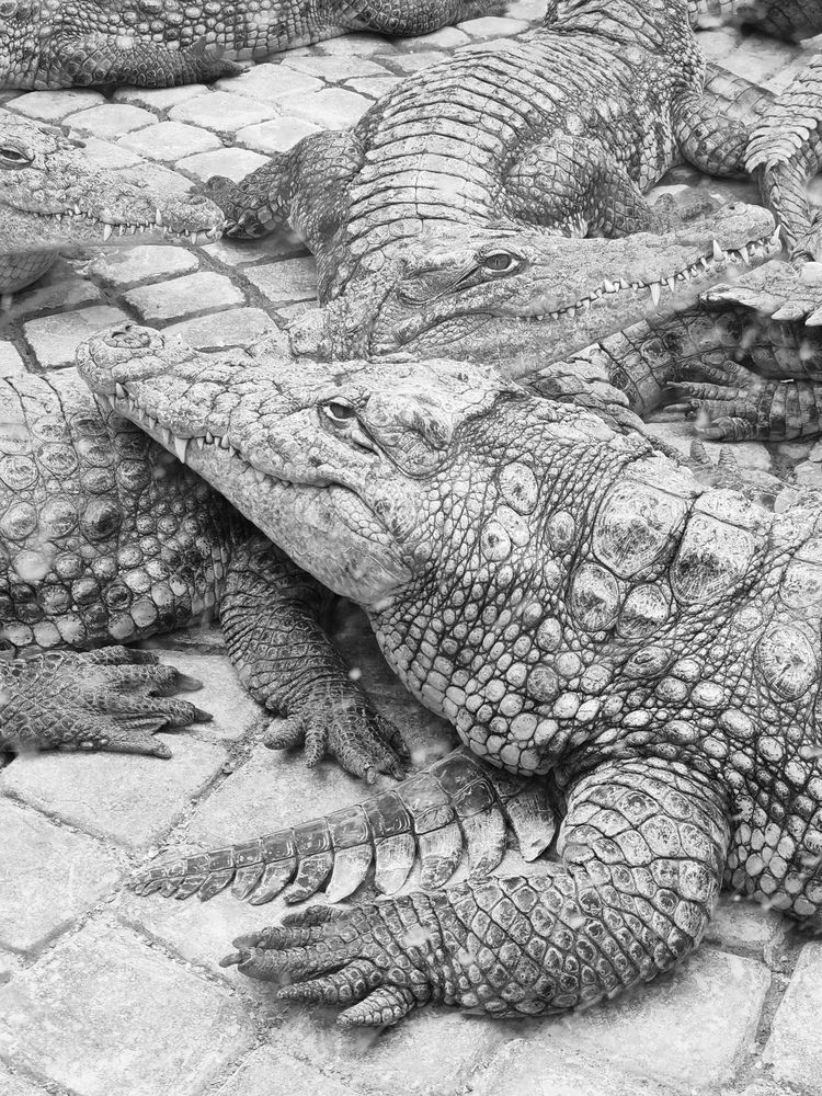 Фотография автора Galya