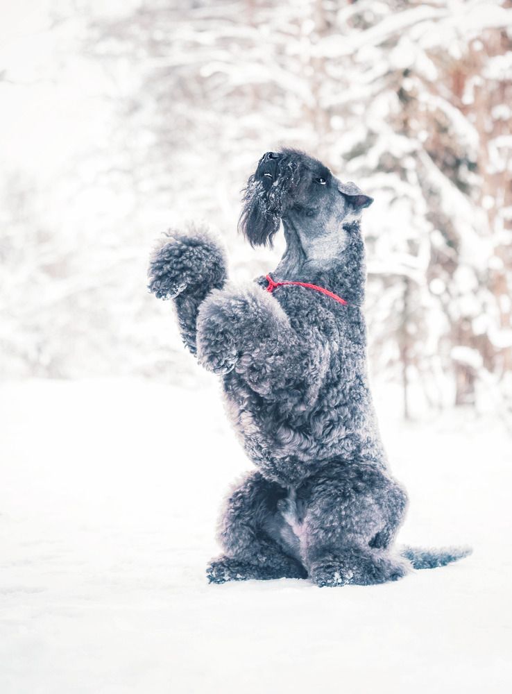 Photograph by Татьяна