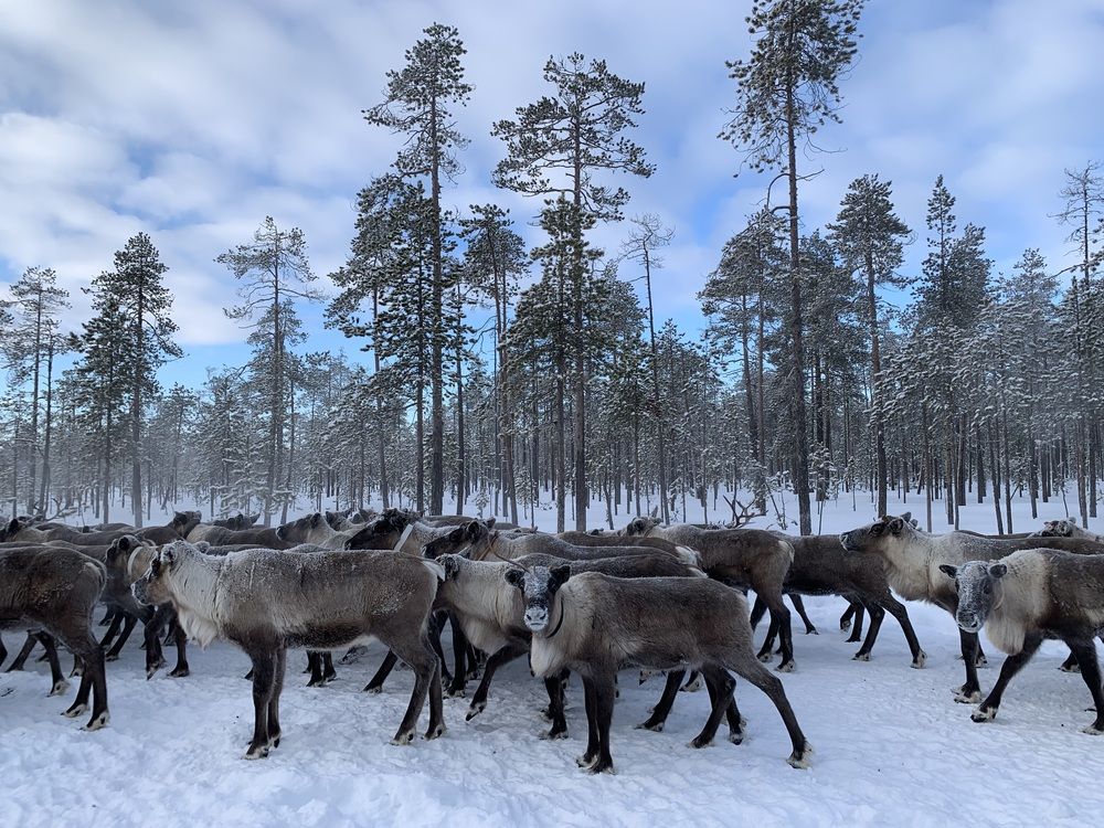 Photograph by Наталья Бирук