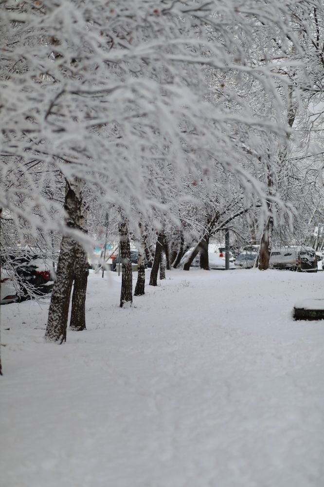Photograph by Надежда Сальянова