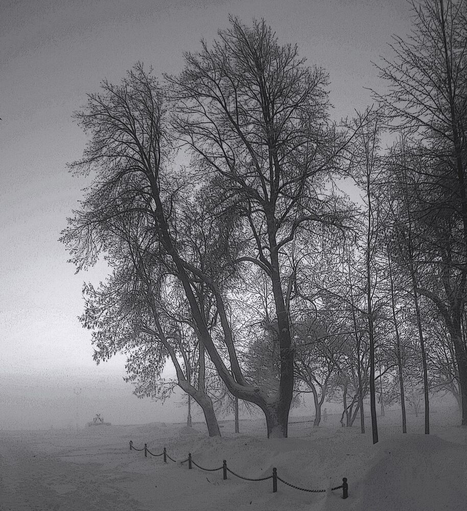 Photograph by Сергей Григорьев