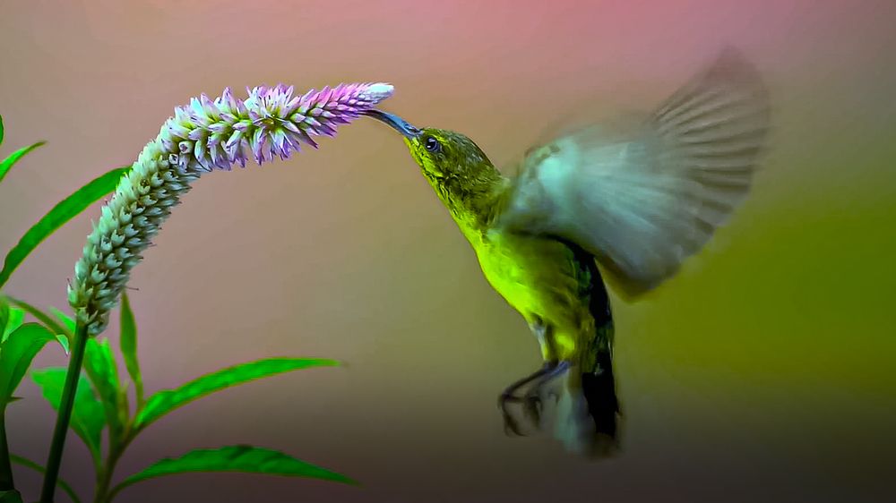 Photograph by Алексей Афонин