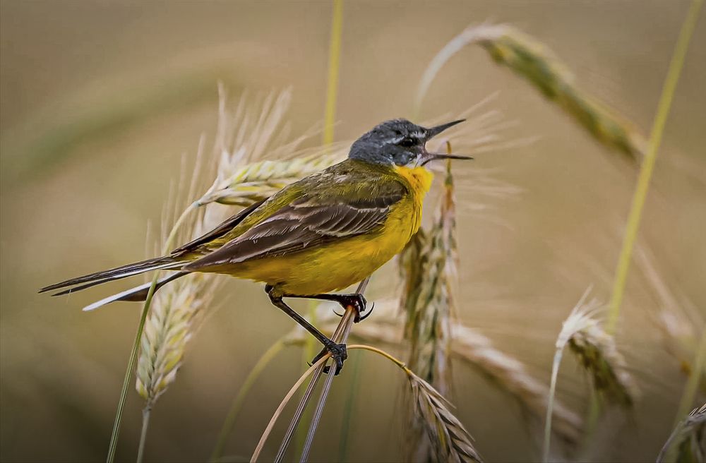 Photograph by Алексей Афонин