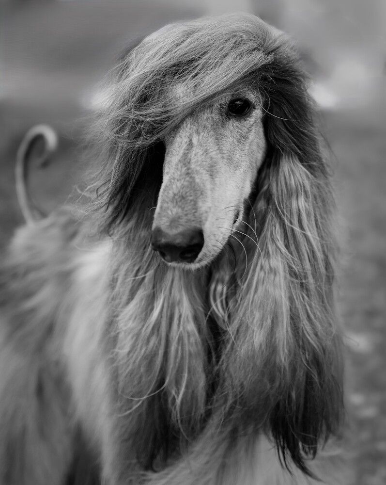 Photograph by Yulia Stepanova