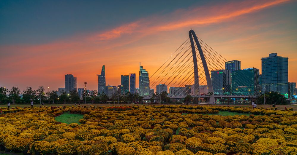 Фотография автора QUANG THOI HUA