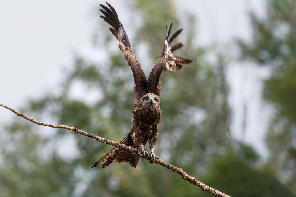 Photograph by Александр Перегудов