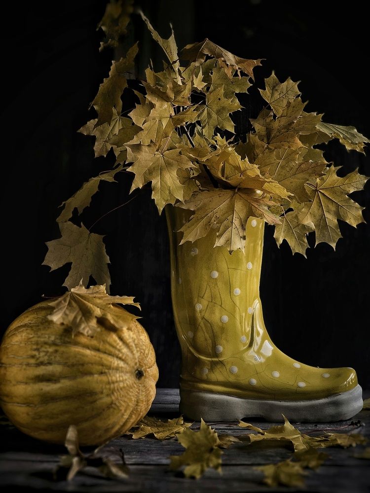 Photograph by Захарикова Ольга