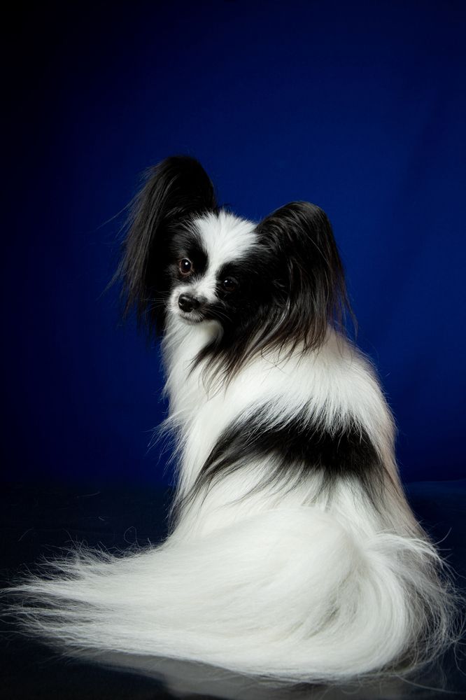 Photograph by Татьяна Арендаренко