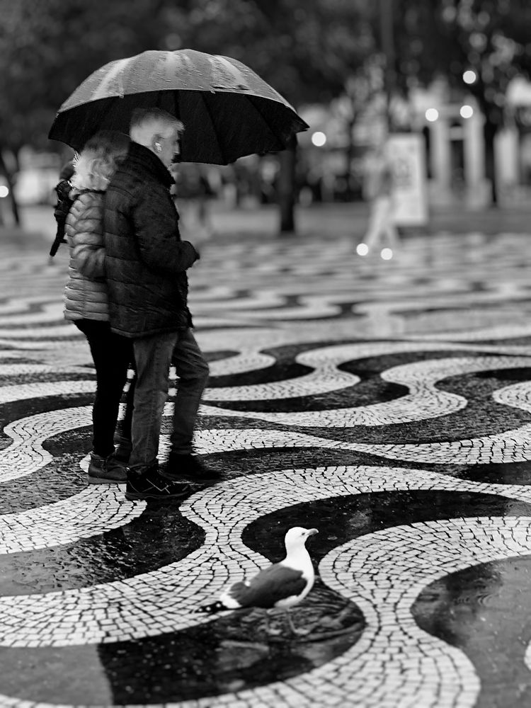 Photograph by Halyna Khomyk