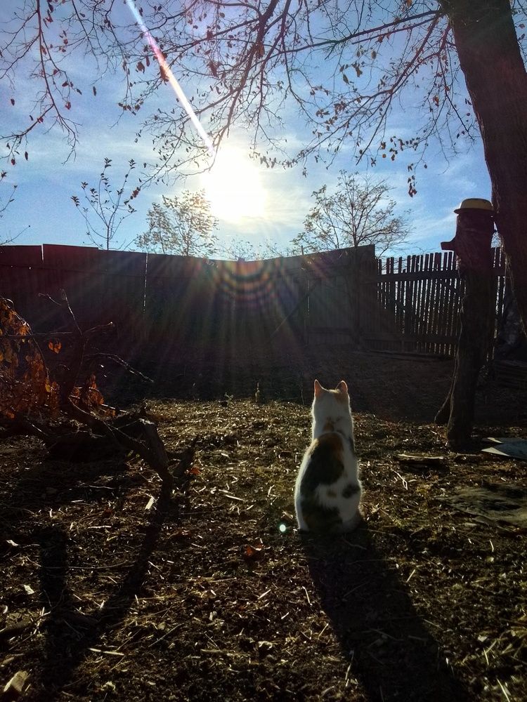 Photograph by Ксения Звонникова