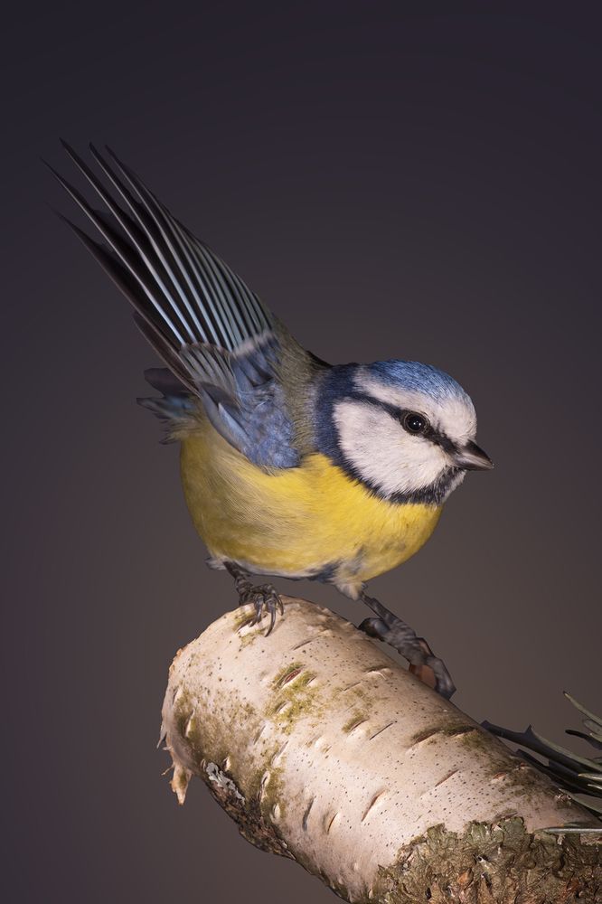 Photograph by Бурикова Екатерина