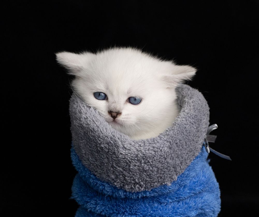 Photograph by Екатерина Каменцева