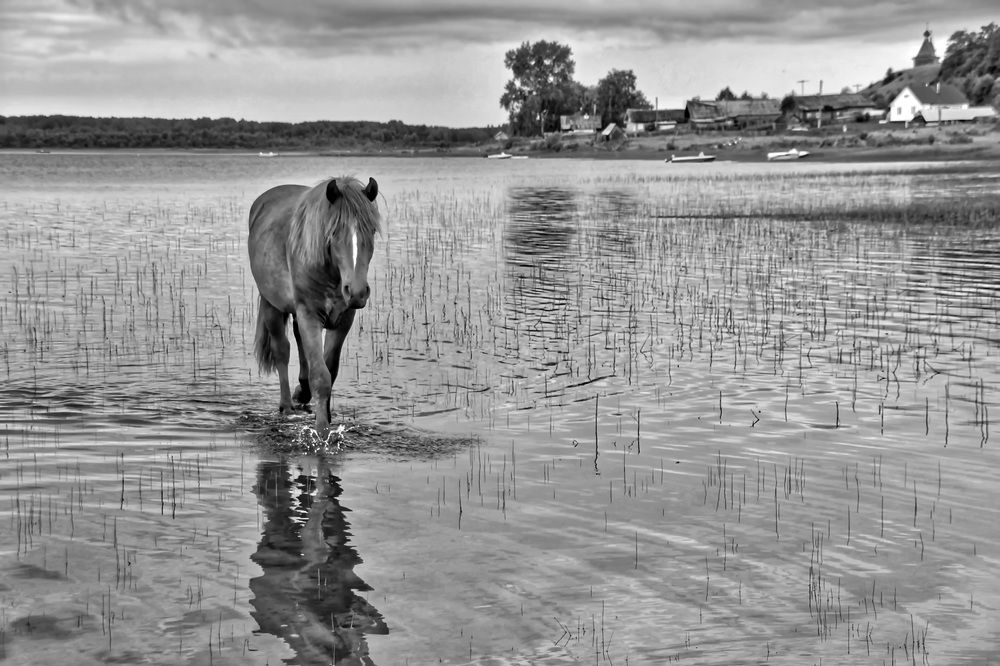 Photograph by Жиляев Евгений