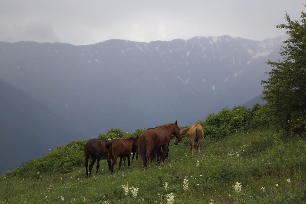 Photograph by Ivan Suslov