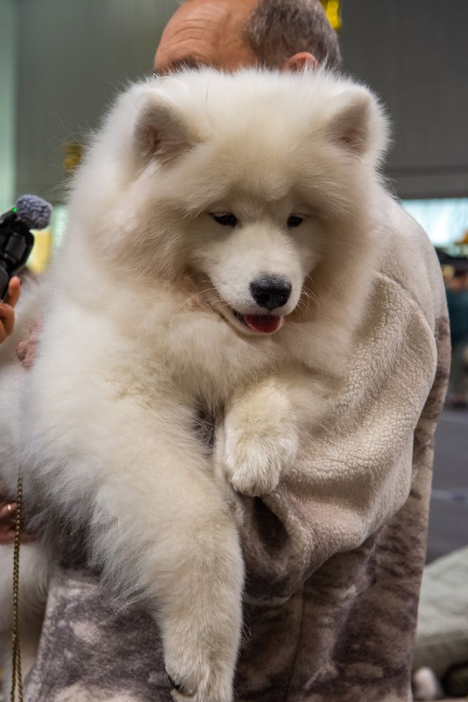 Фотография автора Нина Шкляр