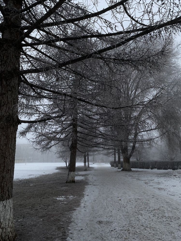 Photograph by Дарья Григорьева