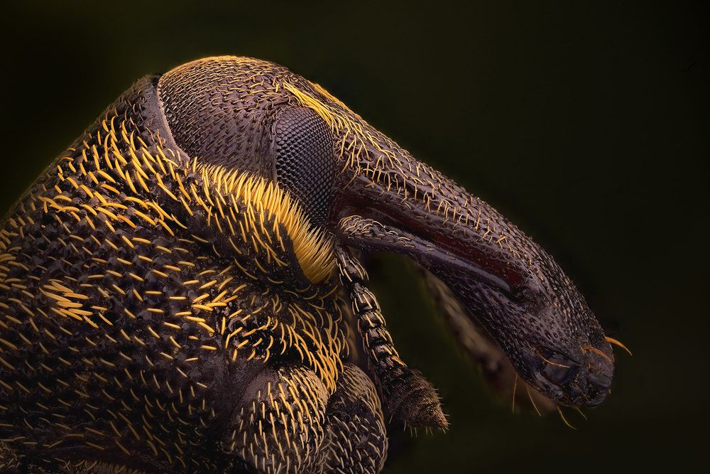 Photograph by Eugenijus Kavaliauskas