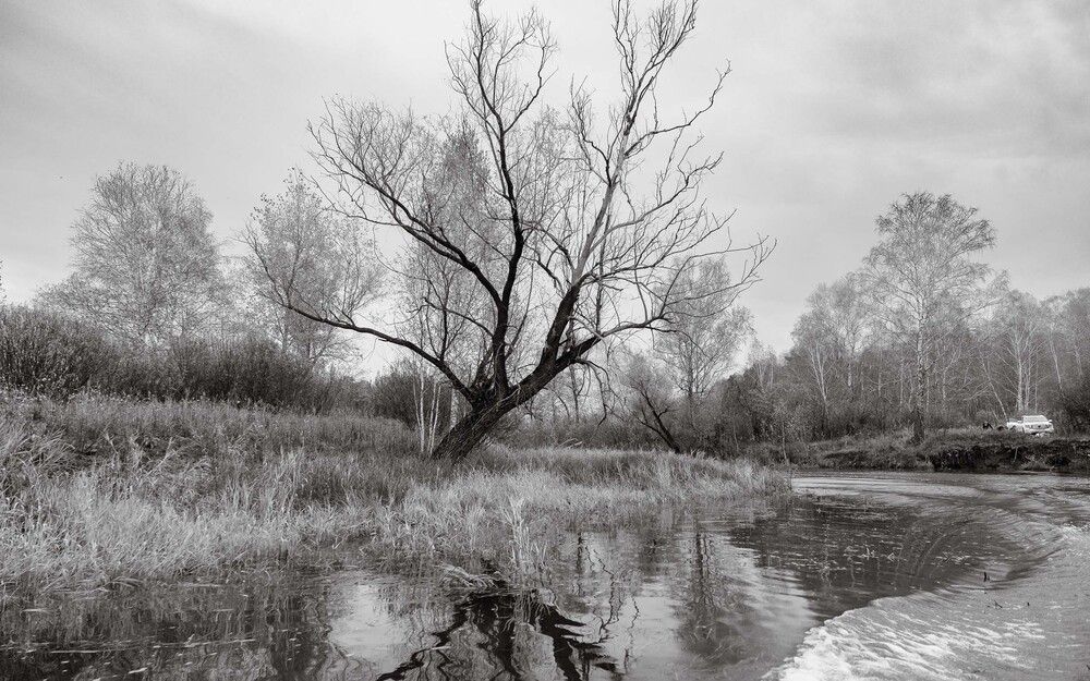 Photograph by Андрей Чернышов