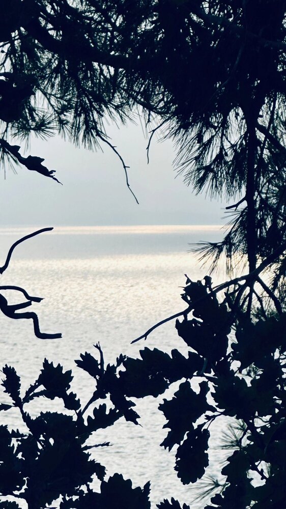 Photograph by Екатерина Спицина
