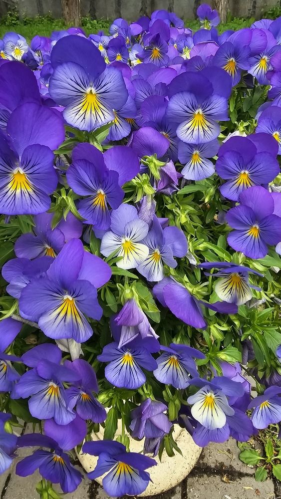 Photograph by Svetlana Stenkina