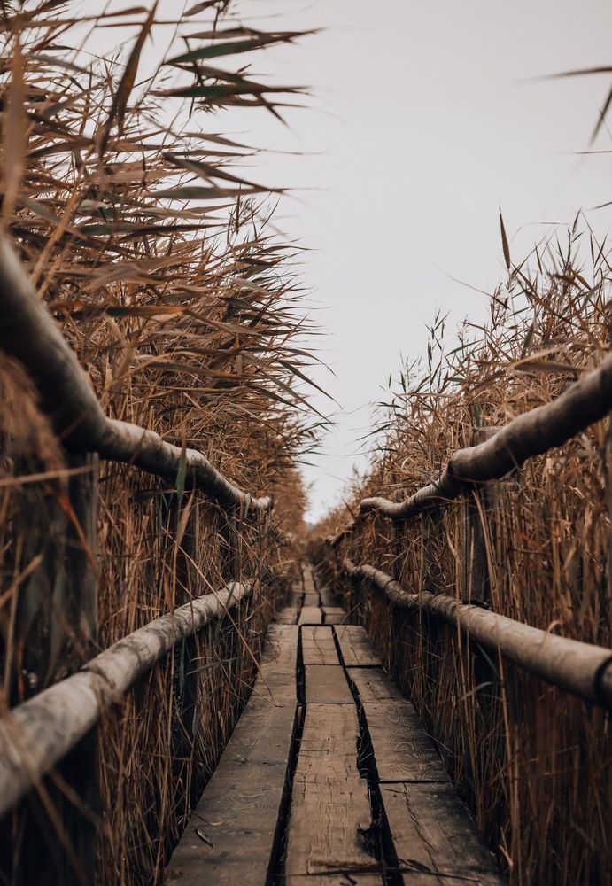 Photograph by Nina Farzalijeva