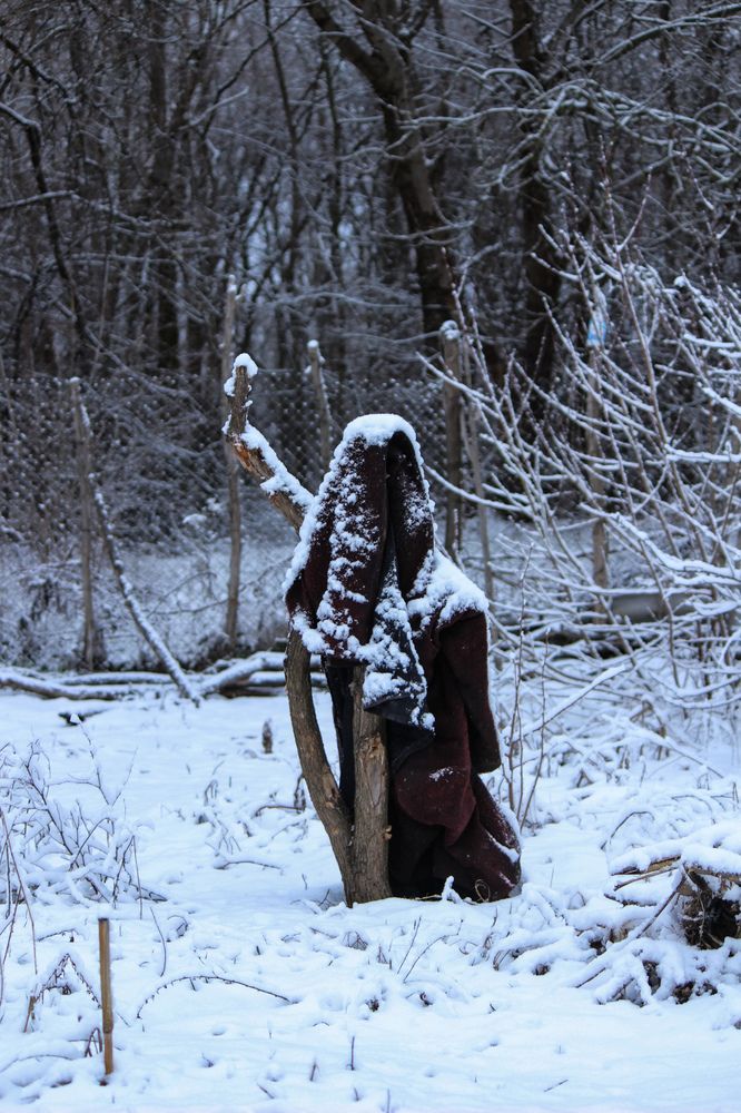 Photograph by Ирина Дмитриенко