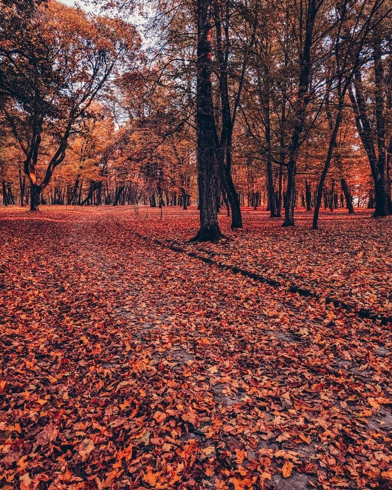 Photograph by Татьяна