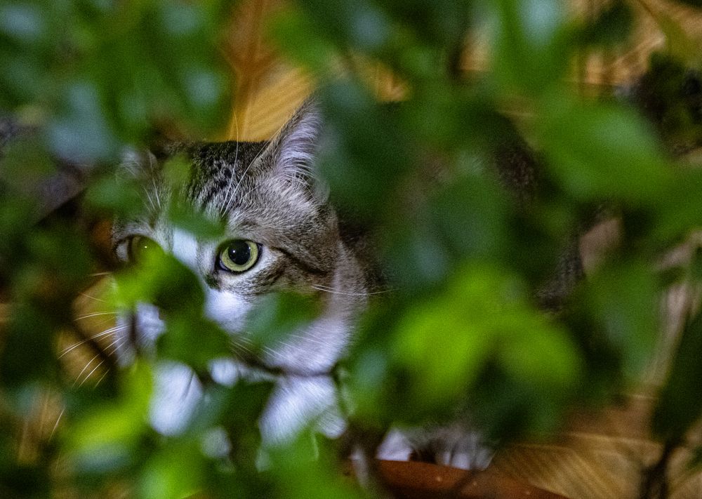 Photograph by Roger Laverde