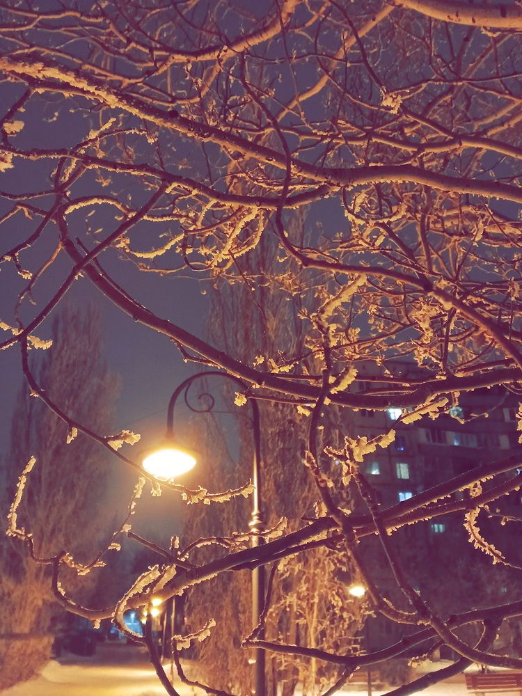 Фотография автора Юрий Звонарев