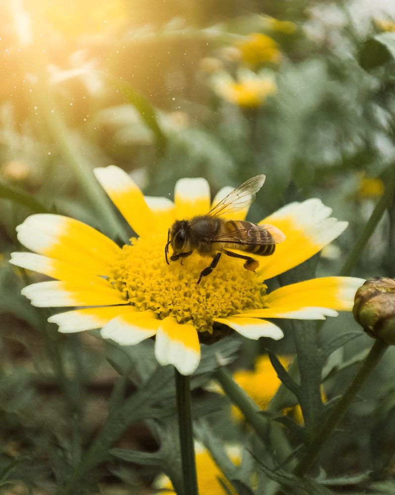 Photograph by Willow Grace