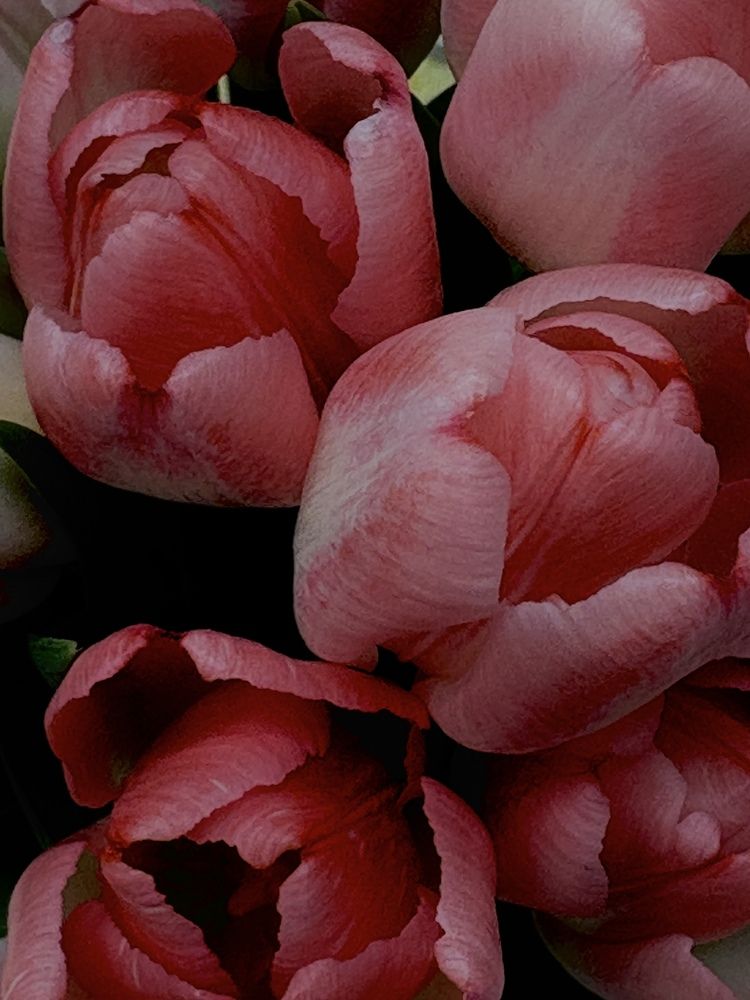 Photograph by Юлия