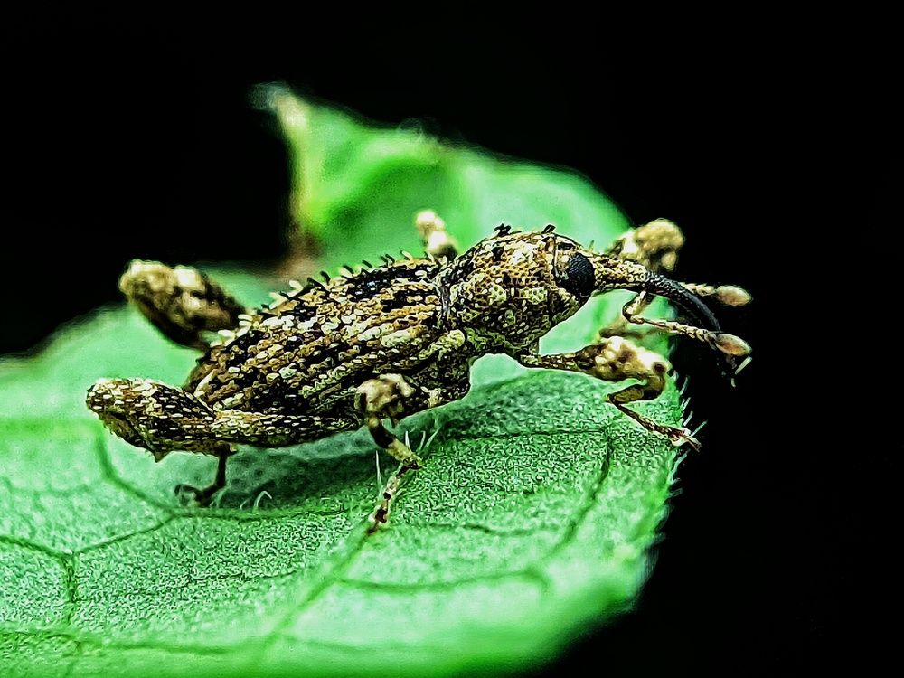 Photograph by Eka Uksyah