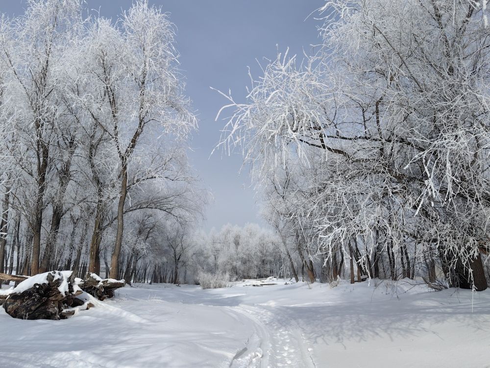 Февральский иней