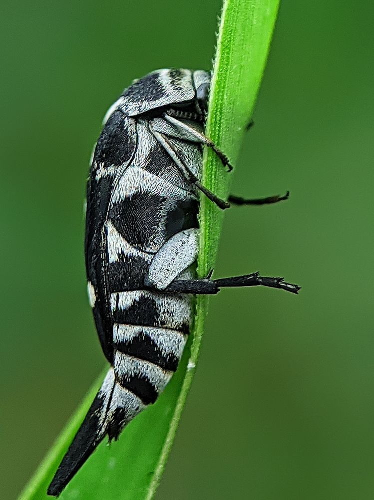 Photograph by Eka Uksyah